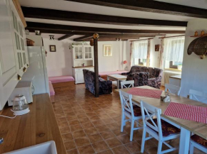 Pension u Adršpachu - Dana Tyšerová, Janovice